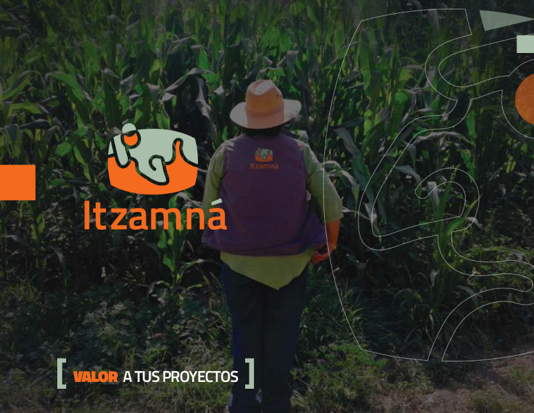 Primer Brochure